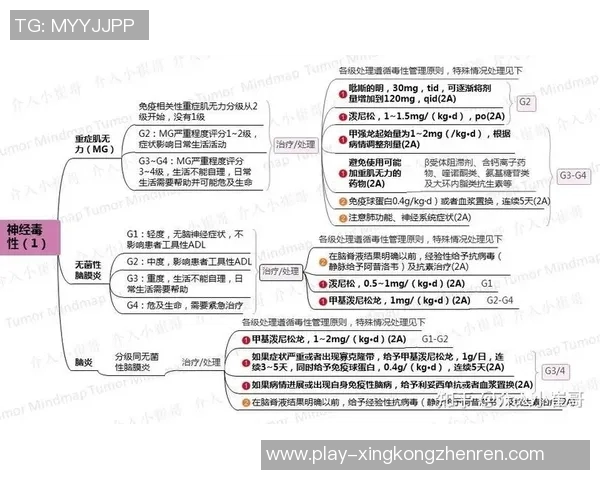 2026年3月份新闻从零起步掌握网球力量技巧与训练方法的全面指南